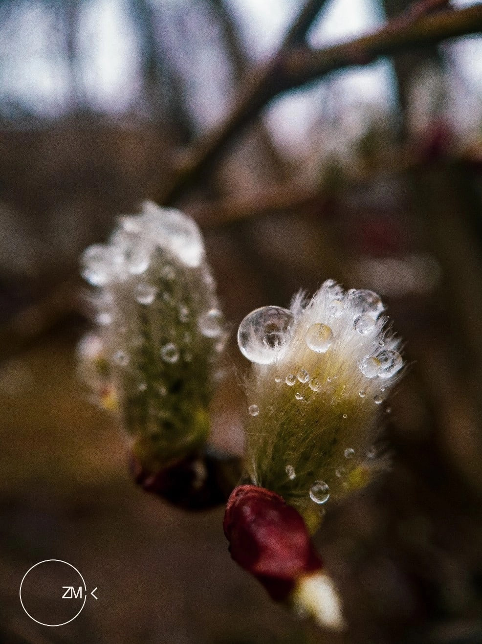 Мобильная фотография. Фотограф людей и животных в Санкт-Петербурге Марина Бурмистрова