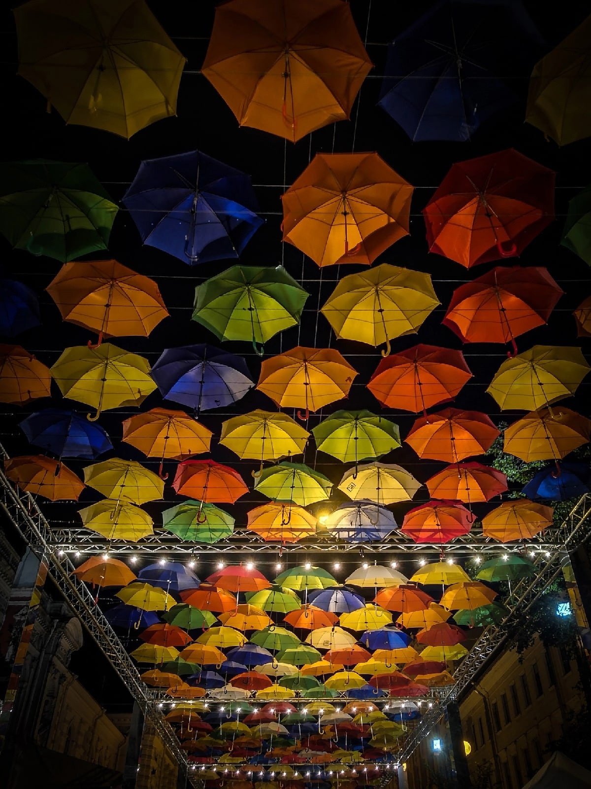 Мобильная фотография. Фотограф людей и животных в Санкт-Петербурге Марина Бурмистрова