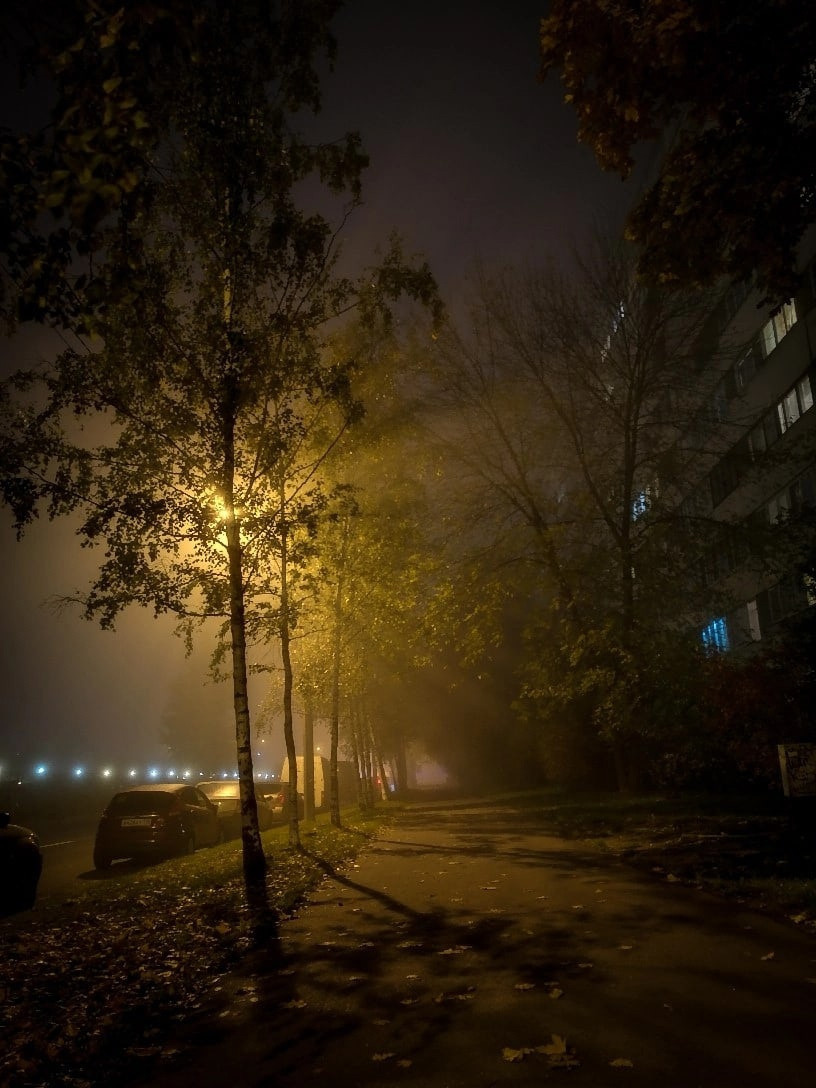 Мобильная фотография. Фотограф людей и животных в Санкт-Петербурге Марина Бурмистрова