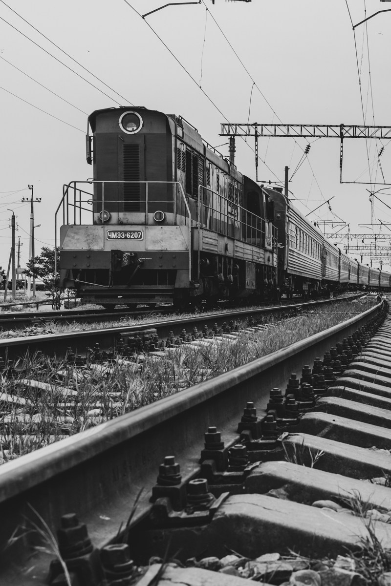 Махачкала. Photomantis