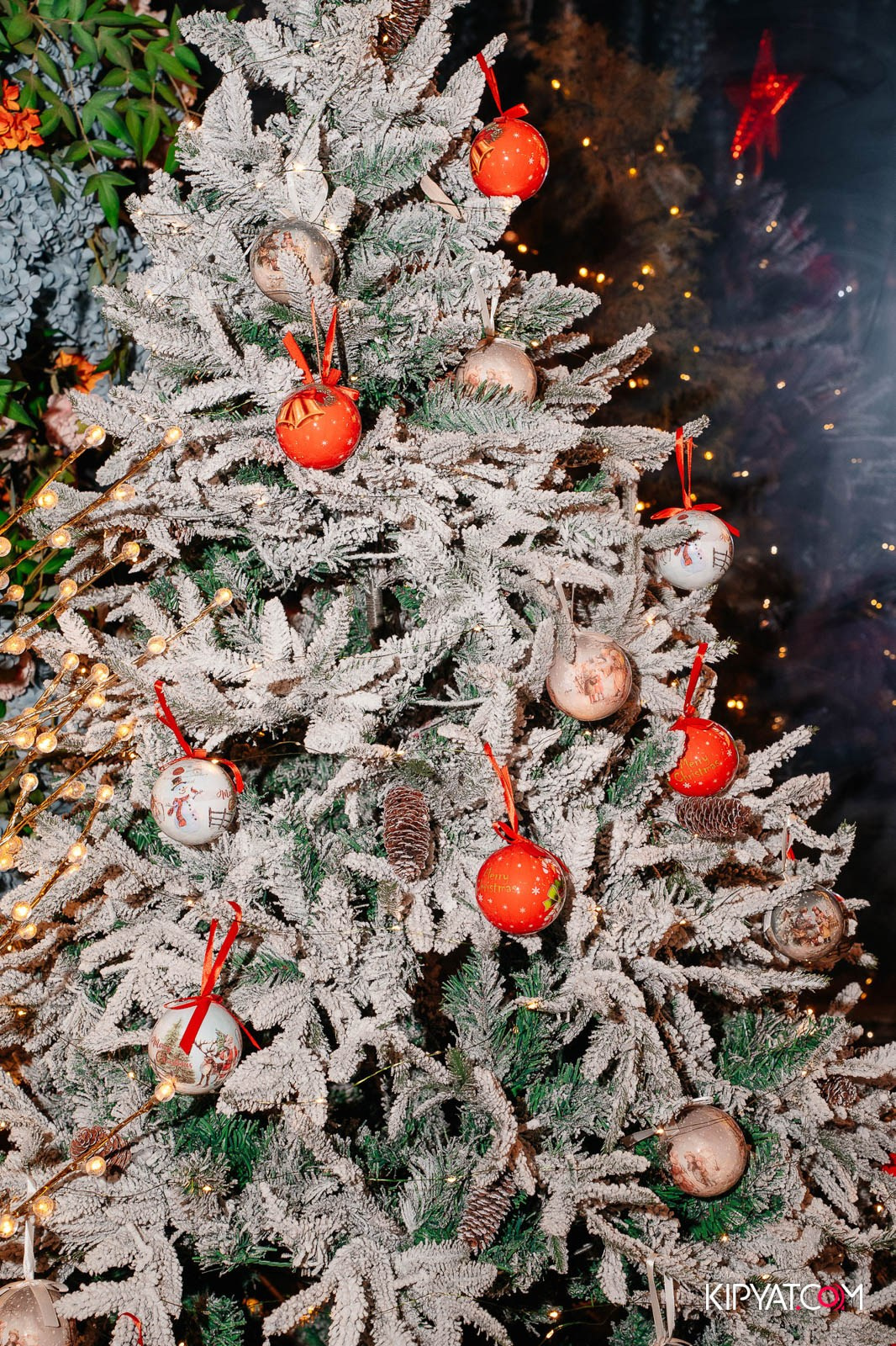 MODI RESTORANCHIK. КИПЯТКОМ АЛМАТЫ!
