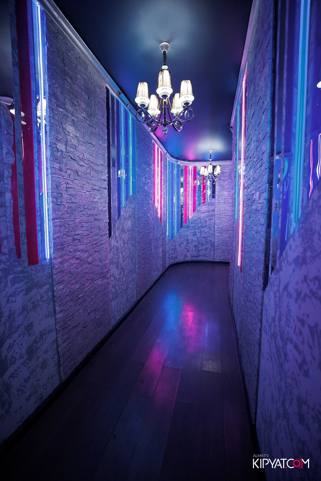 УХО И МЕДВЕДЬ НА ГАГАРИНА. КИПЯТКОМ АЛМАТЫ! Фотосъемка мероприятий в Алматы