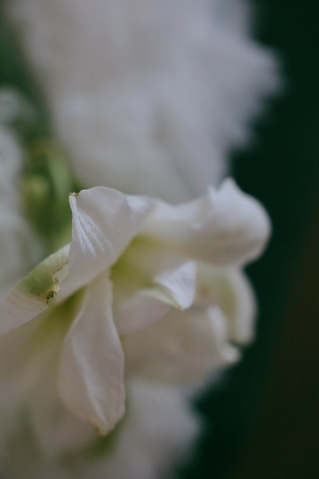 Яна. Фотограф Нижний Новгород