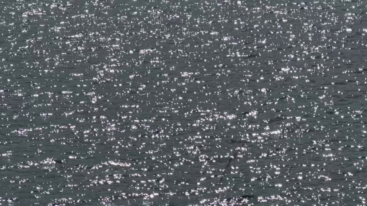 Artworks. Фотограф Наталья Кургина Слюдянка Иркутск