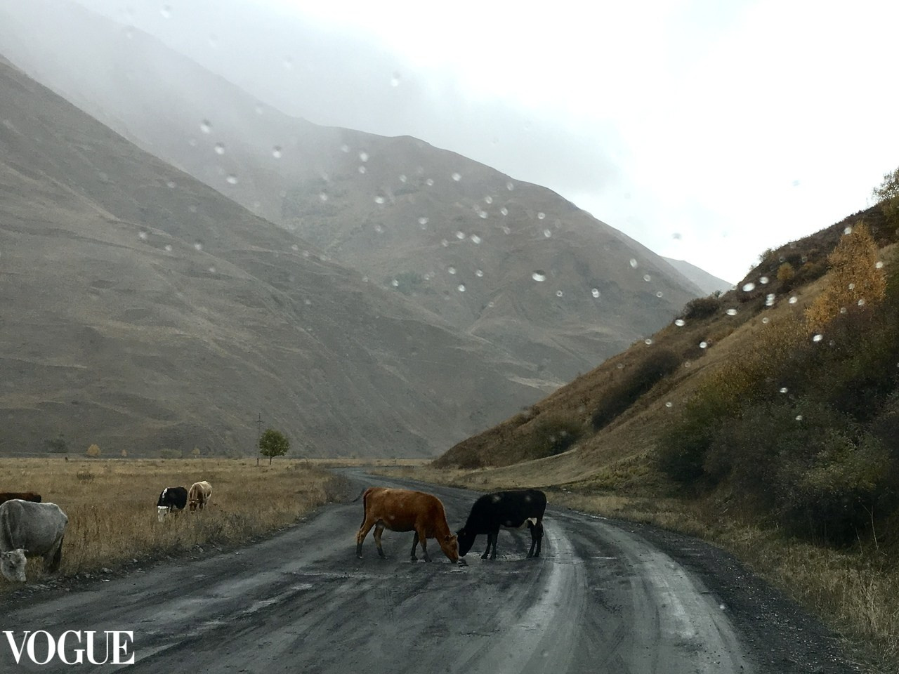 Публикации. Анастасия Воропаева — фотограф на роды СПб