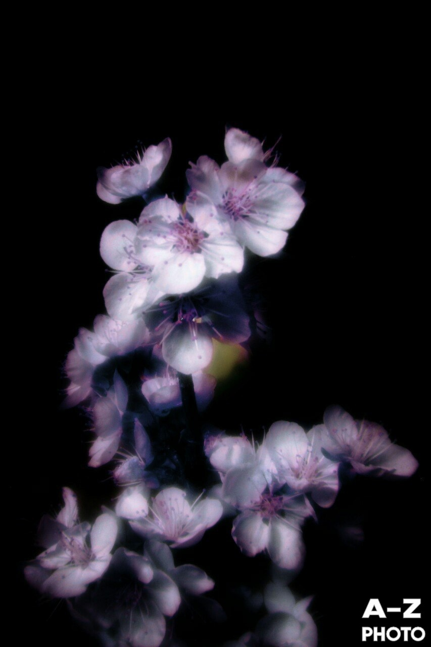 #ФОТОНЕДЕЛИ 13.04.2026. Женский семейный фотограф Тула Москва Захарова Анна