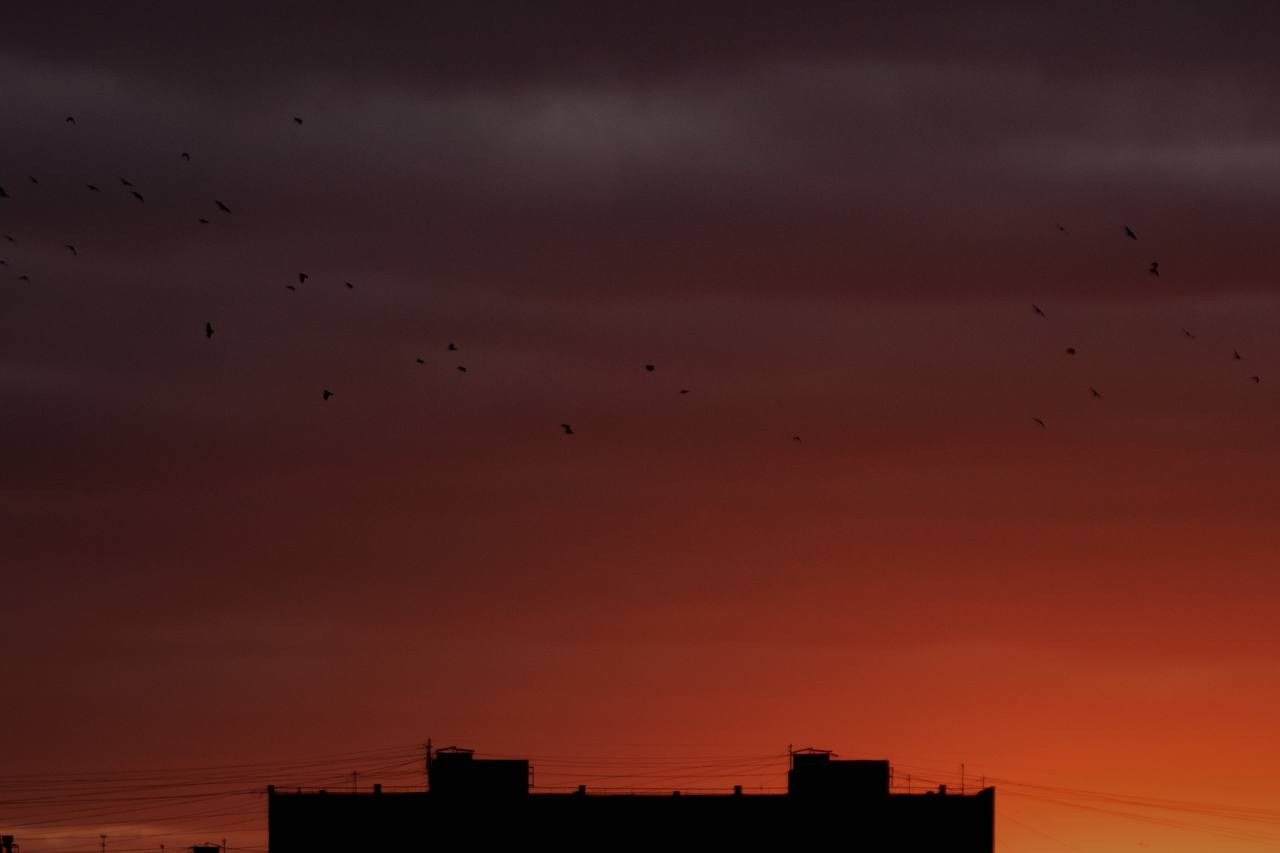 Архитектура и интерьер. Фотограф Артем Павлов