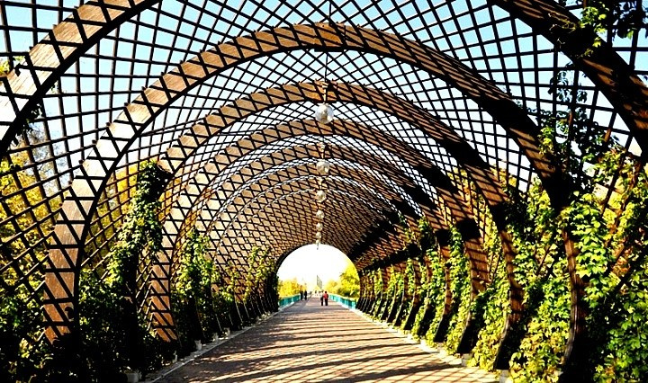 Природная фотосъёмка в парках Москвы — зелёные оазисы в большом городе