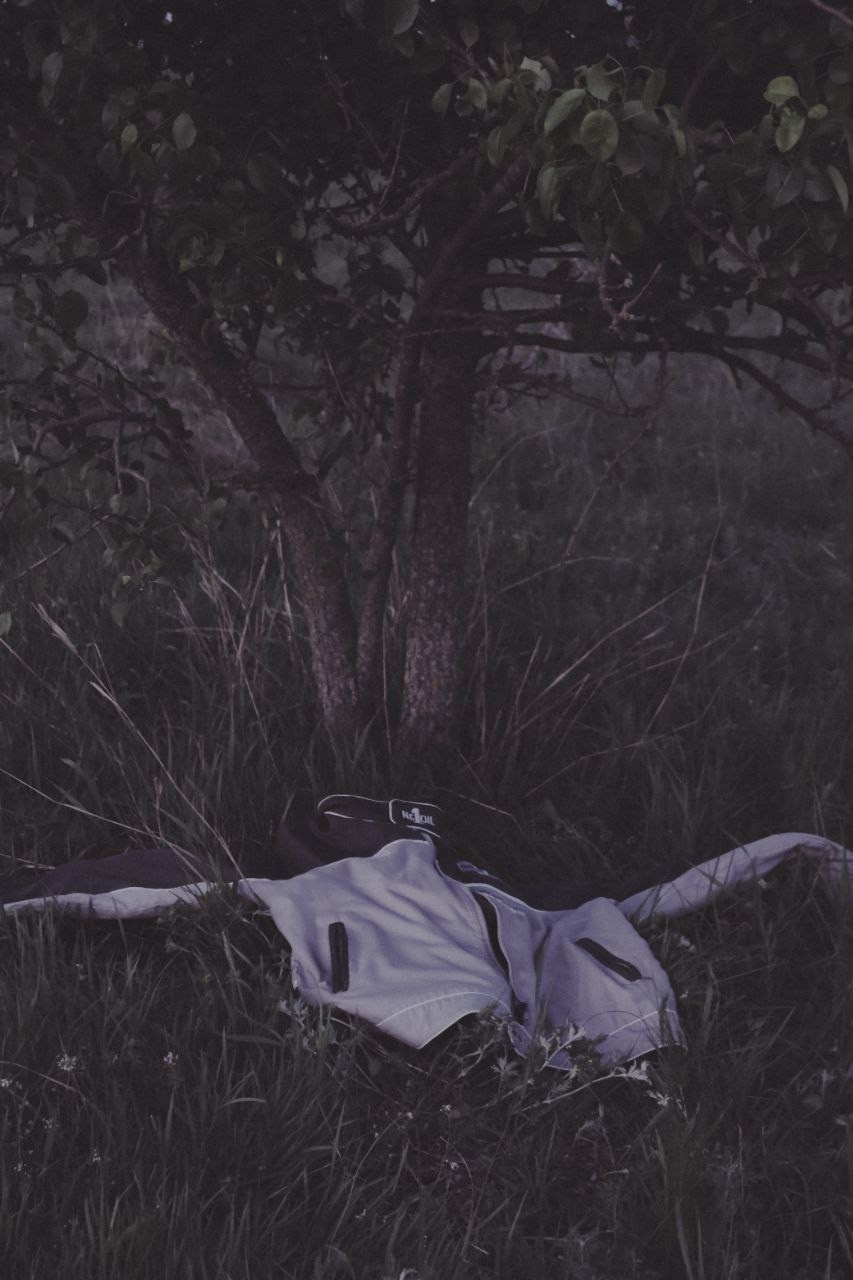 «деревом». Фотограф нижний новгород — мирон