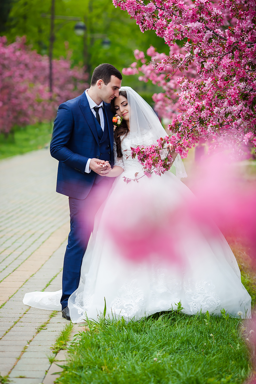Свадебная серия фотографий в Ботаническом парке. Свадебный фотограф Краснодар, Сочи, Геленджик, Анапа, Ростов