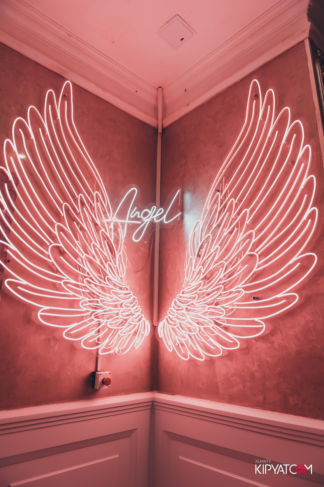 УХО И МЕДВЕДЬ НА КУРМАНГАЗЫ. КИПЯТКОМ АЛМАТЫ!