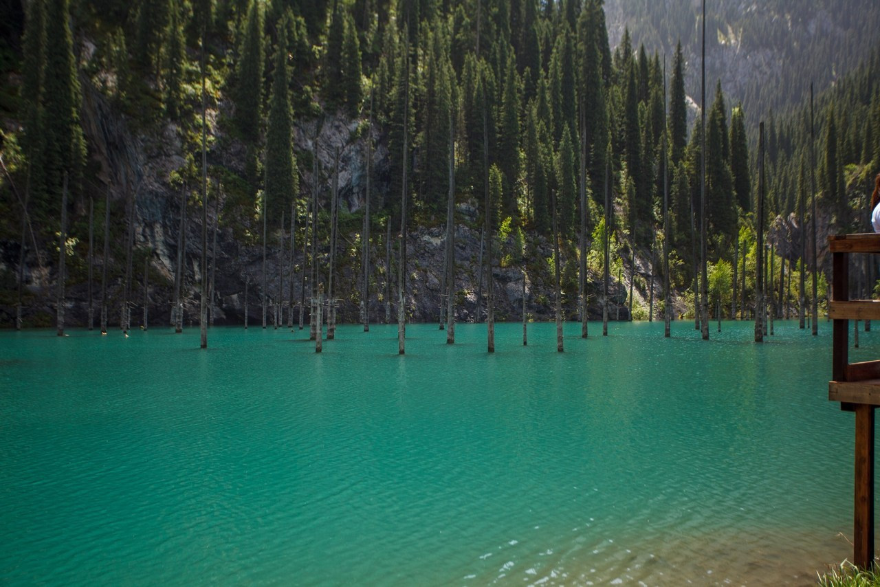 Отзывы. Экскурсии и туры по Алматы