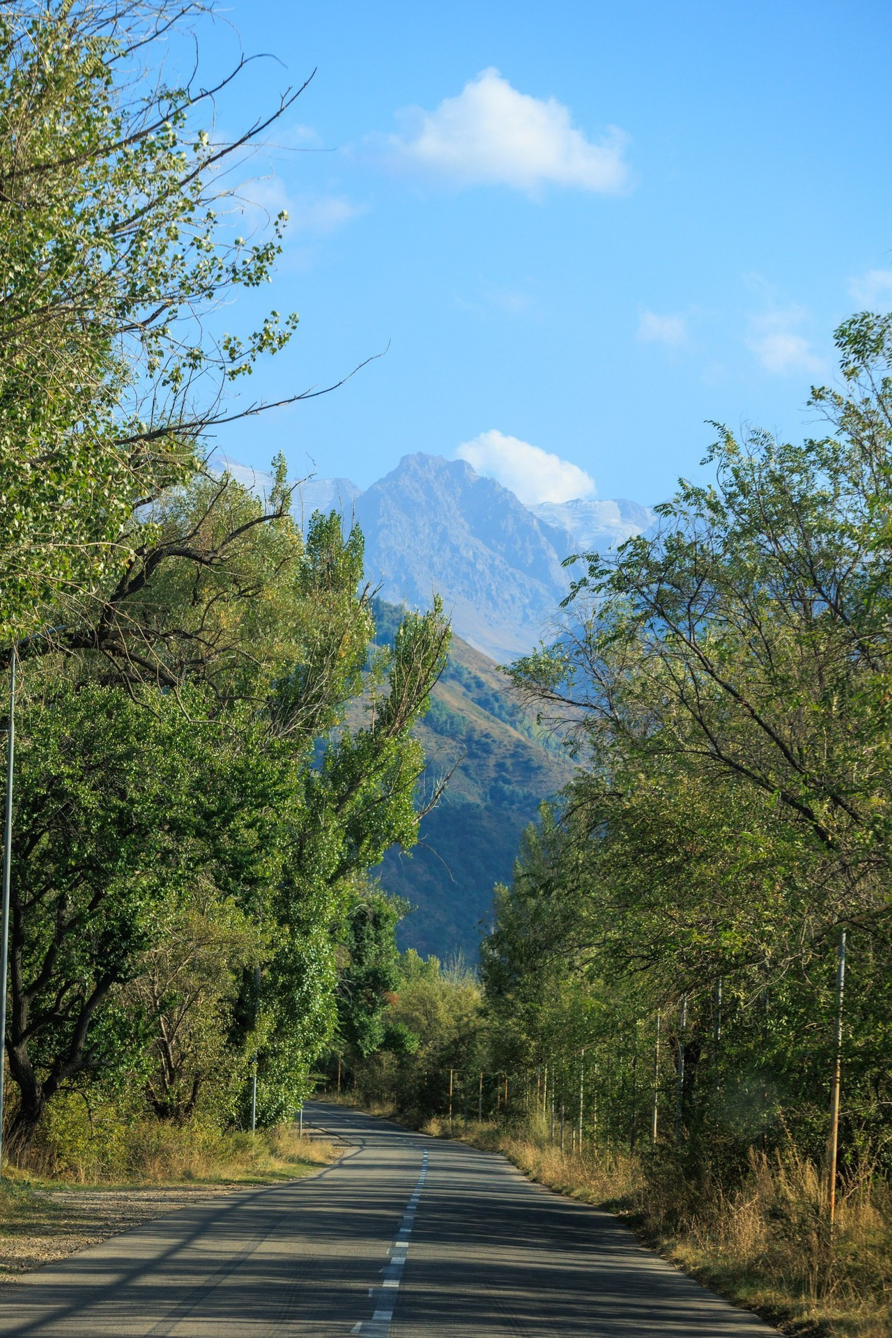 Отзывы. Экскурсии и туры по Алматы