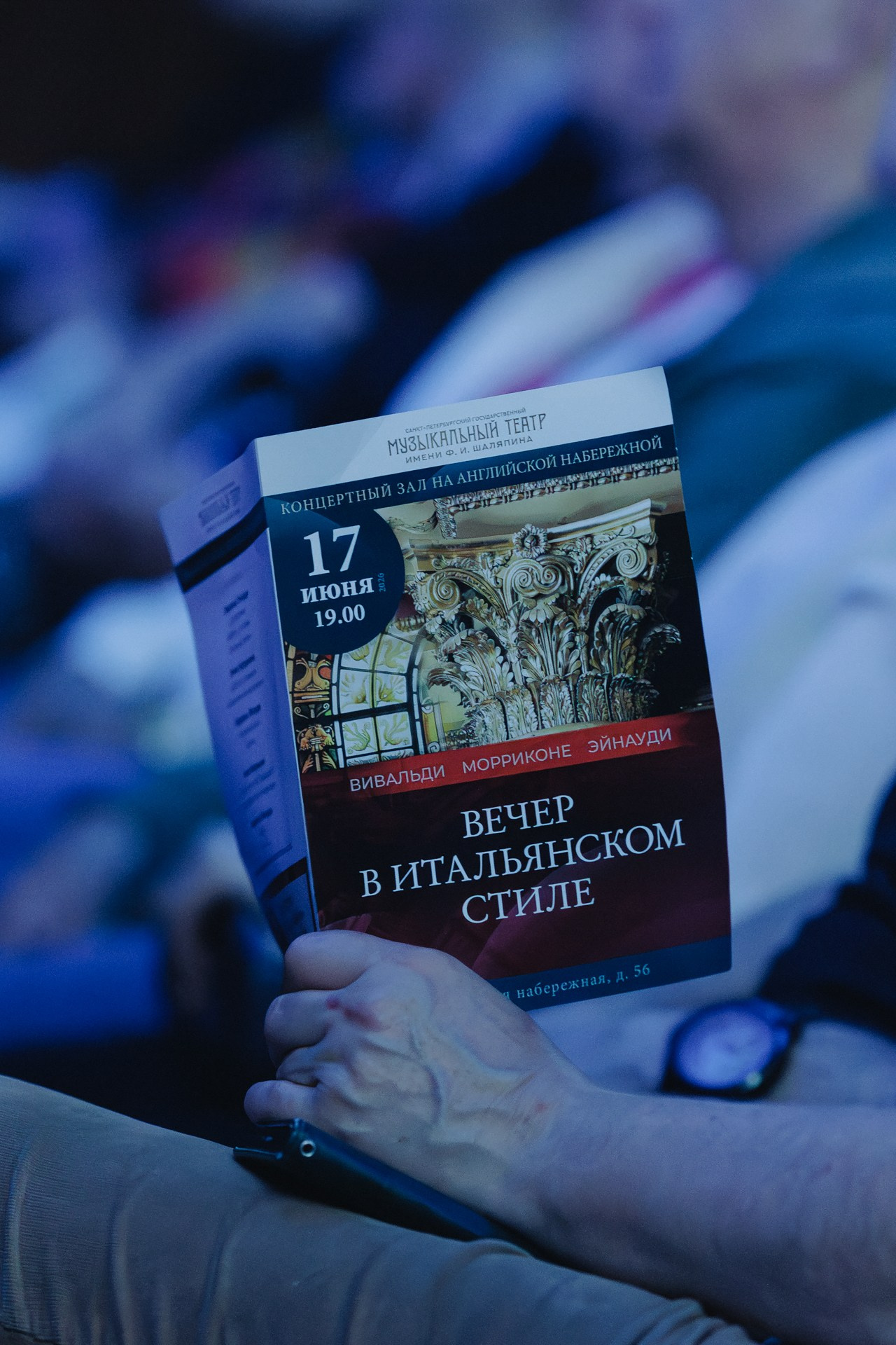 Концерт симфонического оркестра. Портретный фотограф Алина Хаунина