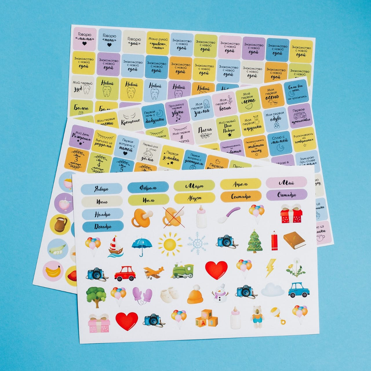 Видеограф Анастасия. Подрядчики и друзья сети свадебных площадок House for wedding