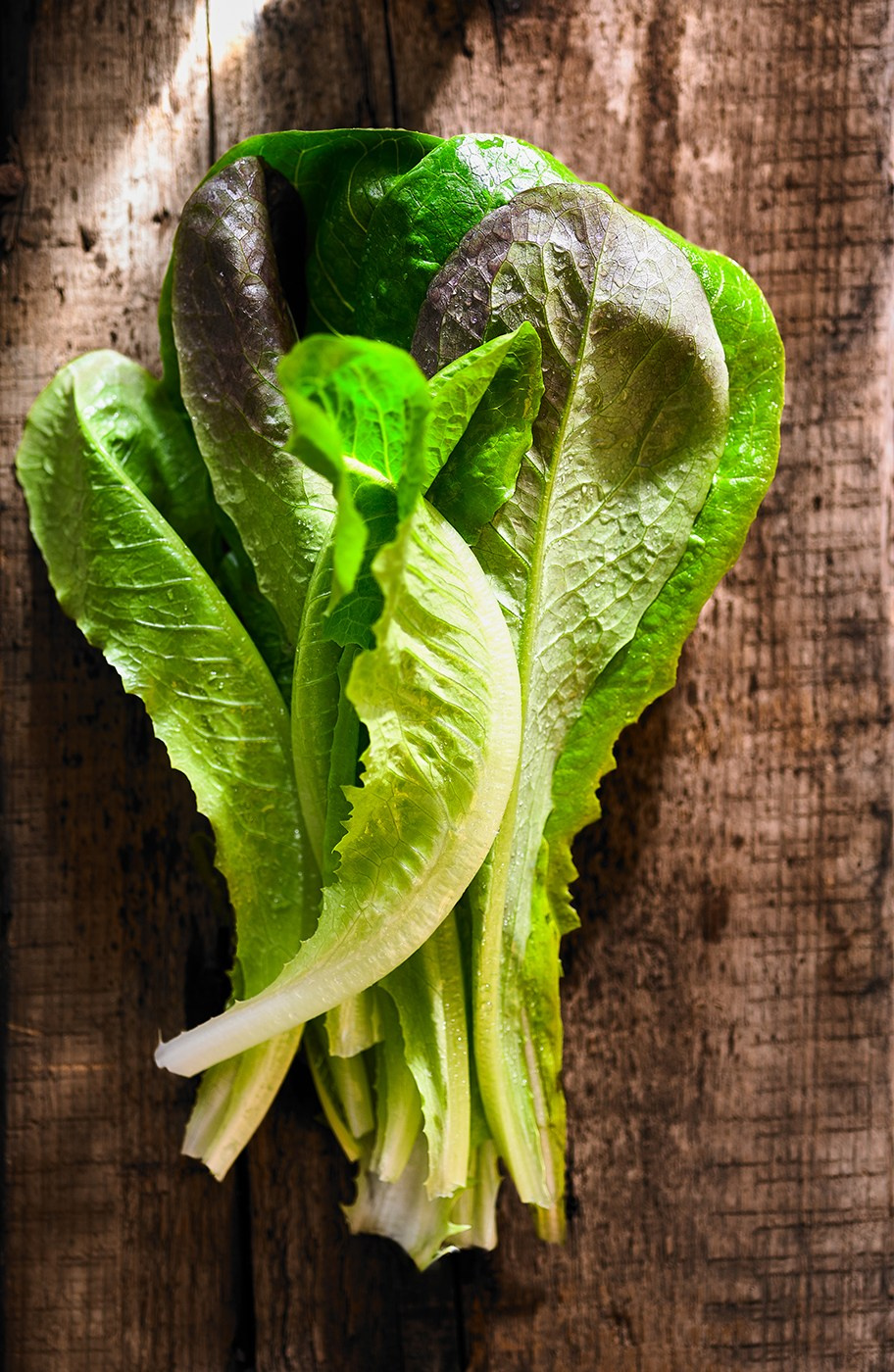 Food photographer. Евгений Петровский — Фуд-съемка и предметная съемка в Москве