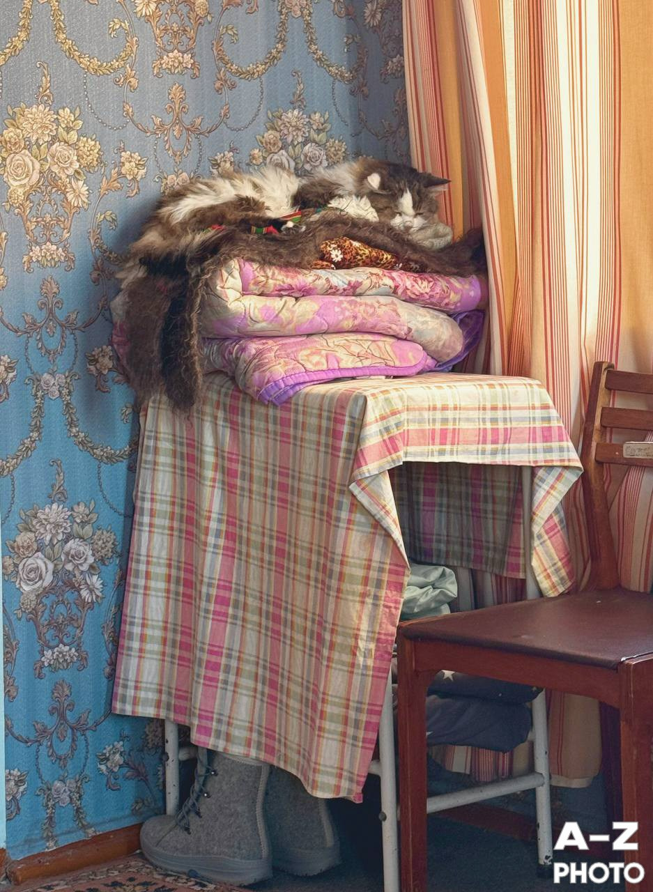 #ФОТОНЕДЕЛИ 12.01.2026. Женский семейный фотограф Тула Москва Захарова Анна