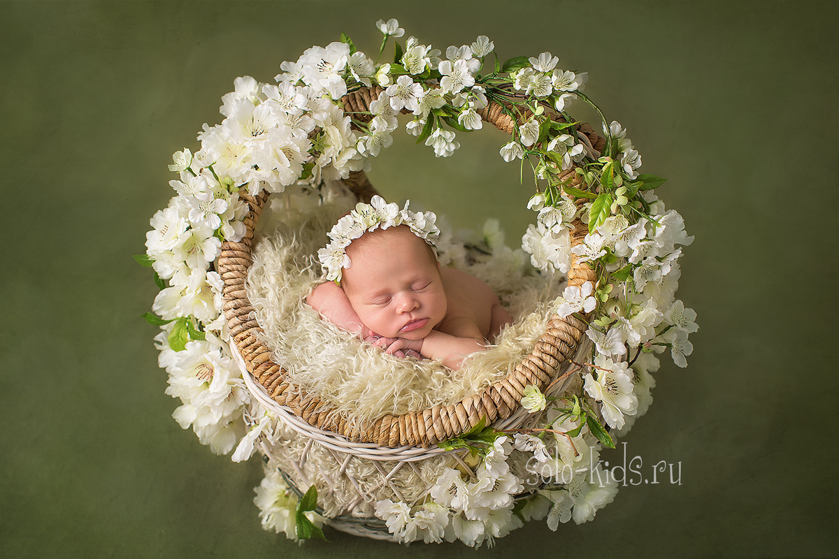 Новорожденная малышка в корзинке с веточками яблони