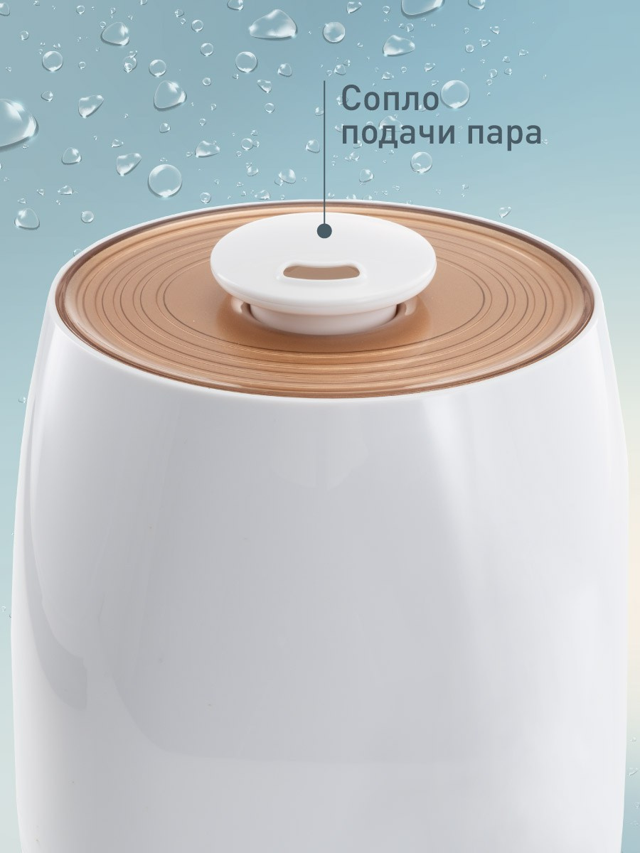 ДЛЯ МАРКЕТПЛЕЙСОВ карточки. Max Matvich and Victoria Basova are professionals in their field