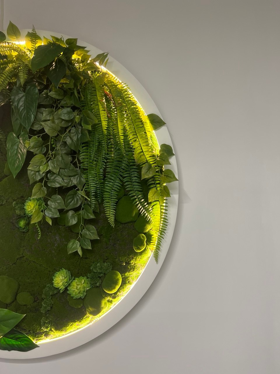 Башня Федерация. Stroy Elite