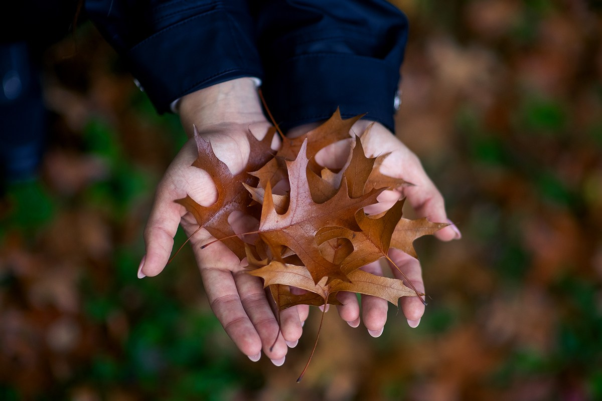 Анастасия. Фотограф Роман Ефремов