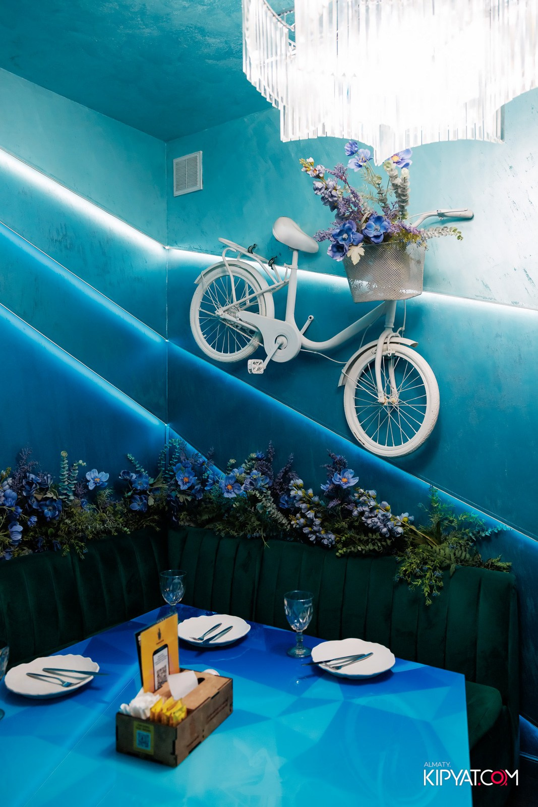 УХО И МЕДВЕДЬ НА САИНА. КИПЯТКОМ АЛМАТЫ!