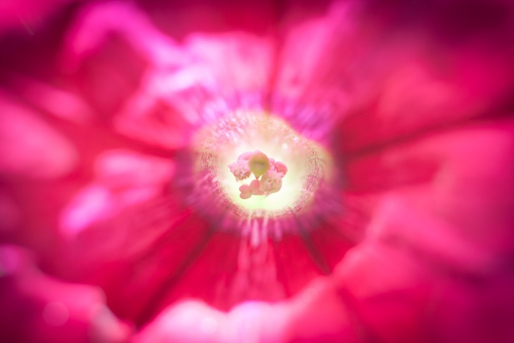 Макро. ZAGLADIN Bureau