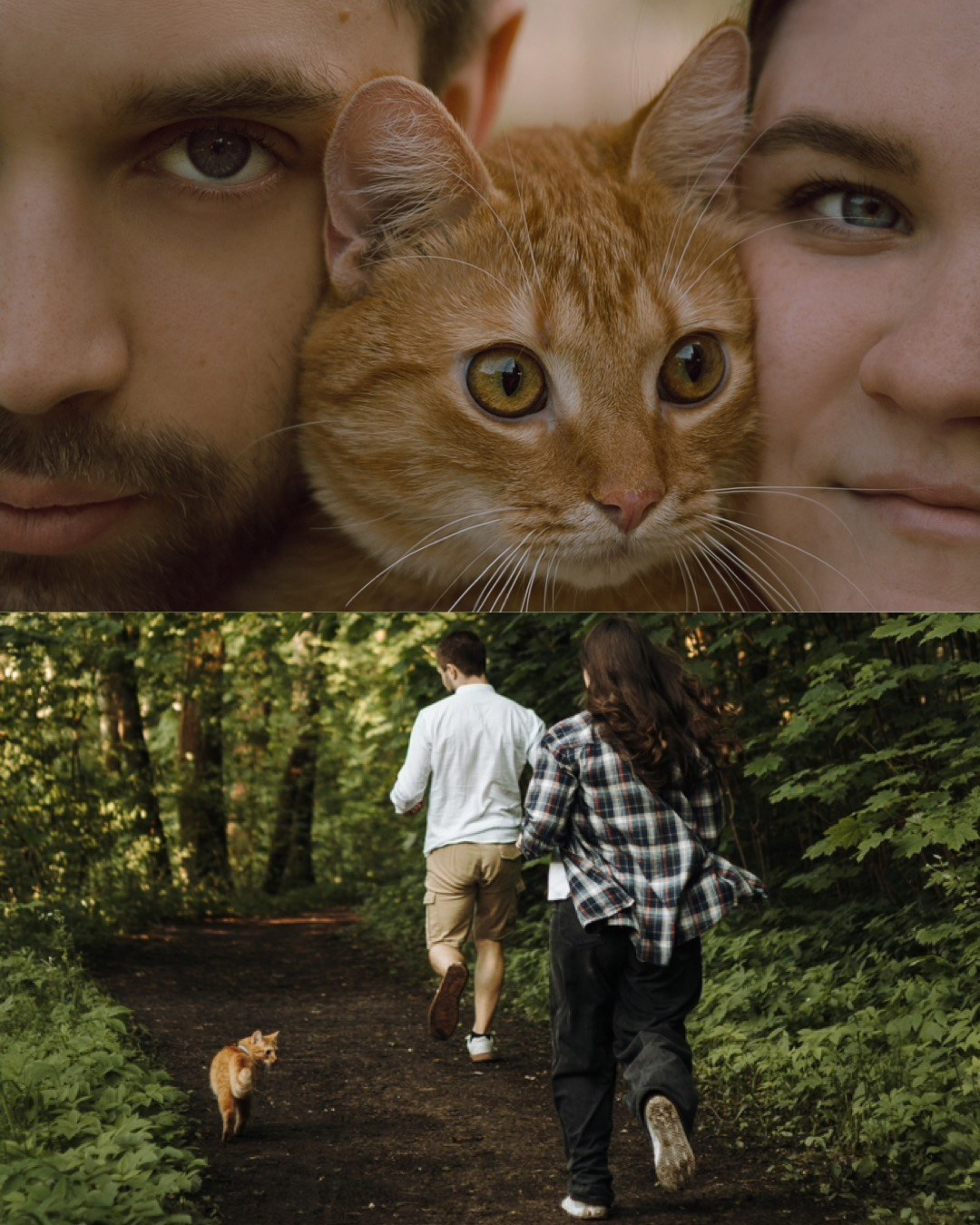 Макс и его семья. Фотограф — анималист •love-story•|Санкт-Петербург