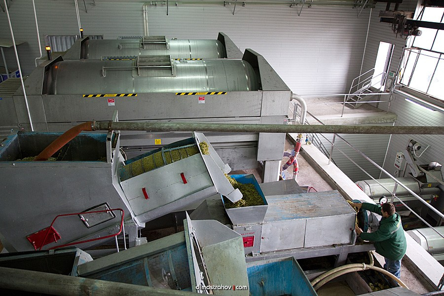 Винзавод Качинский +. Свадебный фотограф, фотосъемка в Крыму, Севастополе, Симферополе, Ялте