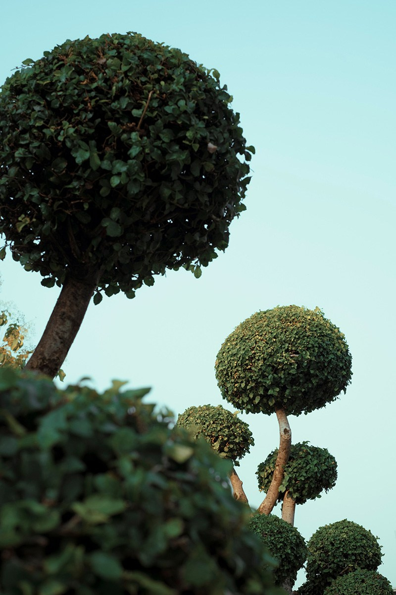 Арт фотограф Виктория Фатина Москва | visual art