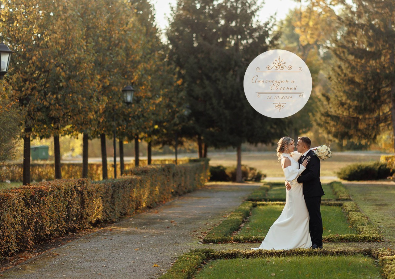 Отзывы. Свадебный фотограф Денис Перминов в Воронеже