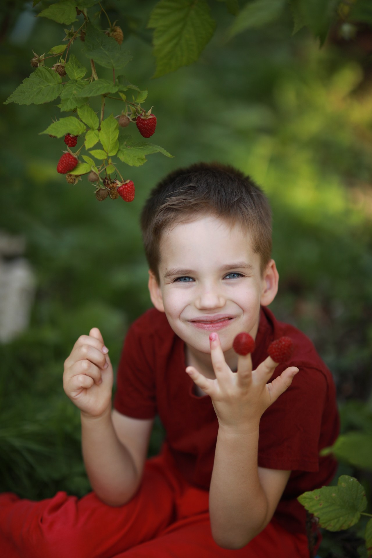 Ягода-малина. Фотограф Юлия Рязанова Москва семейный и детский