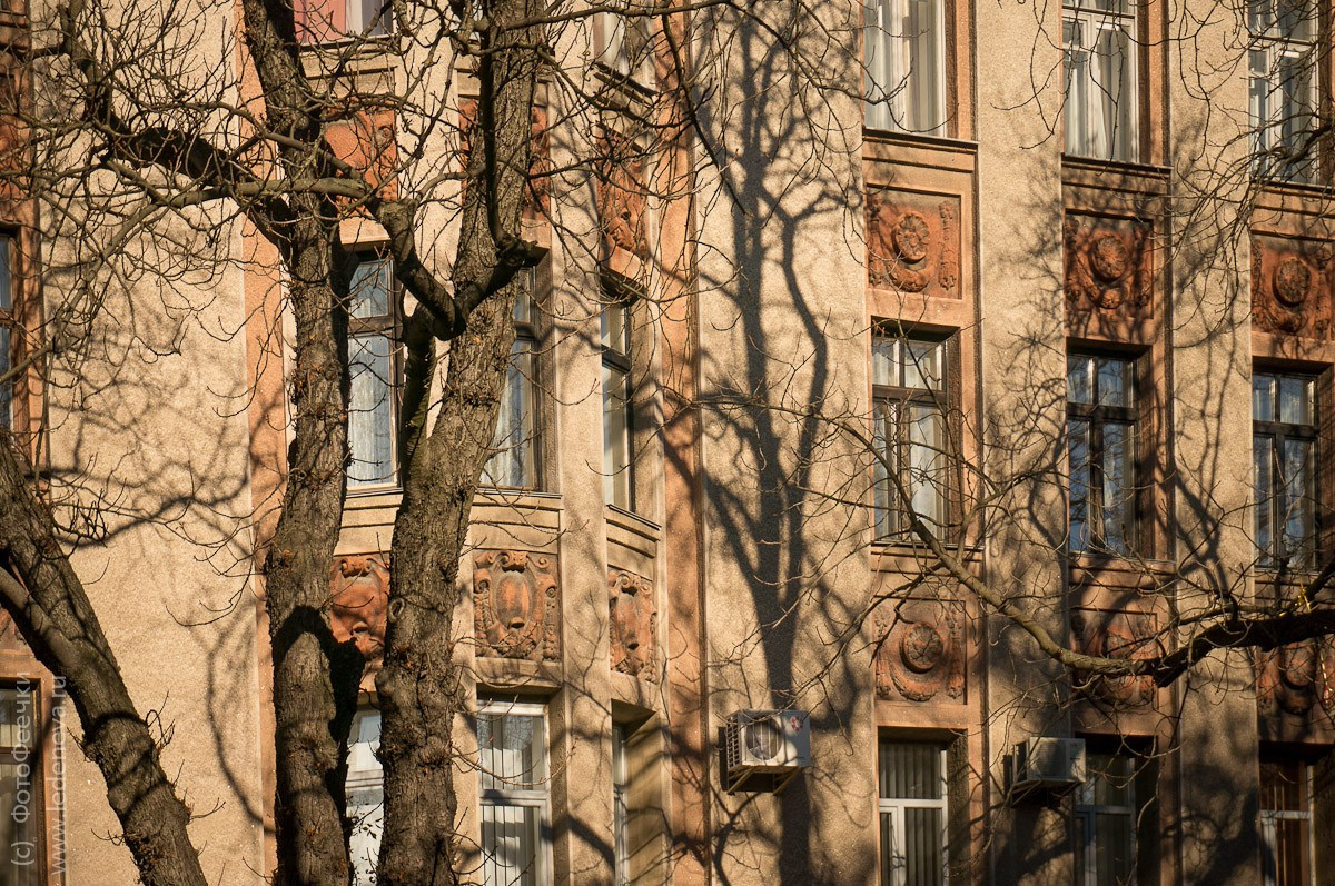 Киев, Украина, октябрь 2011. Анна Леденева Фотограф