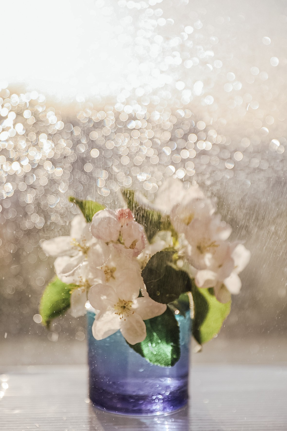 Тычинки и пестики