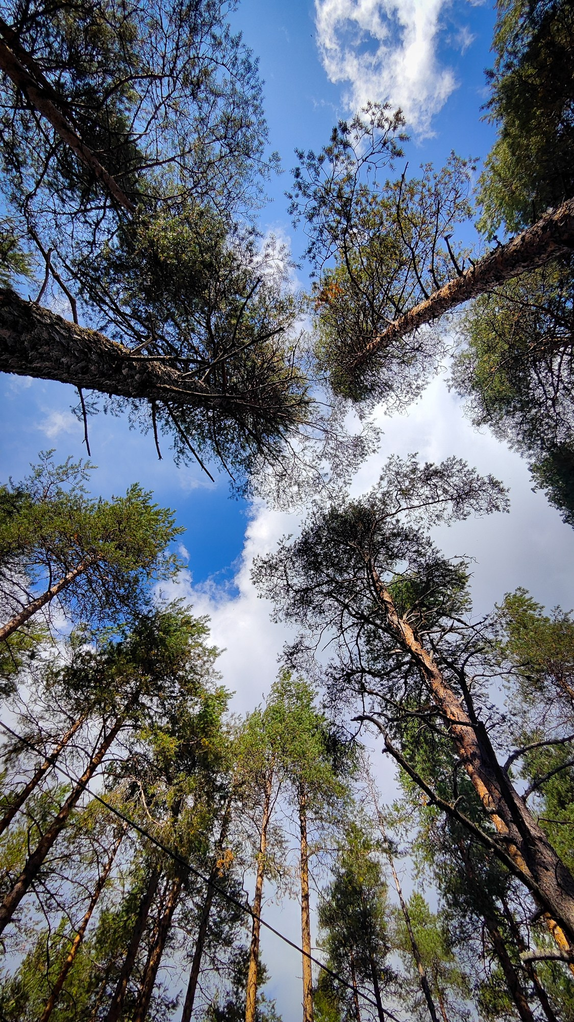 Репортаж с ретрита. Фотограф Ксения Соло