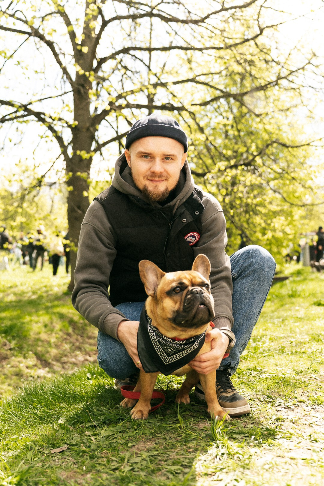 Парад Бульдогов. Axenov_eugene