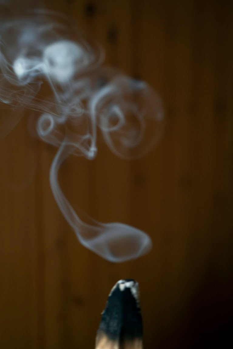 TEA MOMENTS. Сocoobird || Атмосфера твоего бренда в снимках и видео