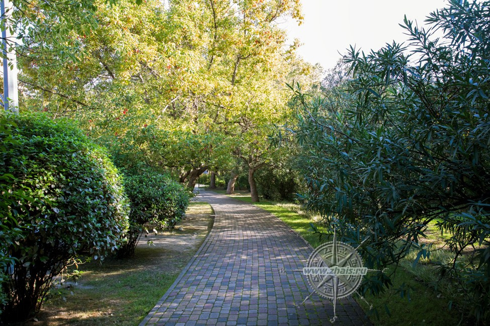 КРАСИВЫЕ МЕСТА В СОЧИ. Свадебный и семейный фотограф/видеограф в Краснодаре Наталья Осинская