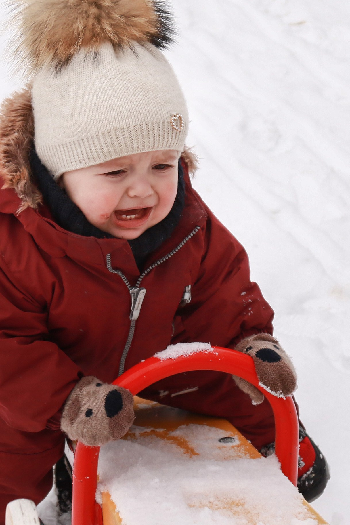 Красотки на снежной прогулке. Фотограф Зеленоградск Лиана Сопина