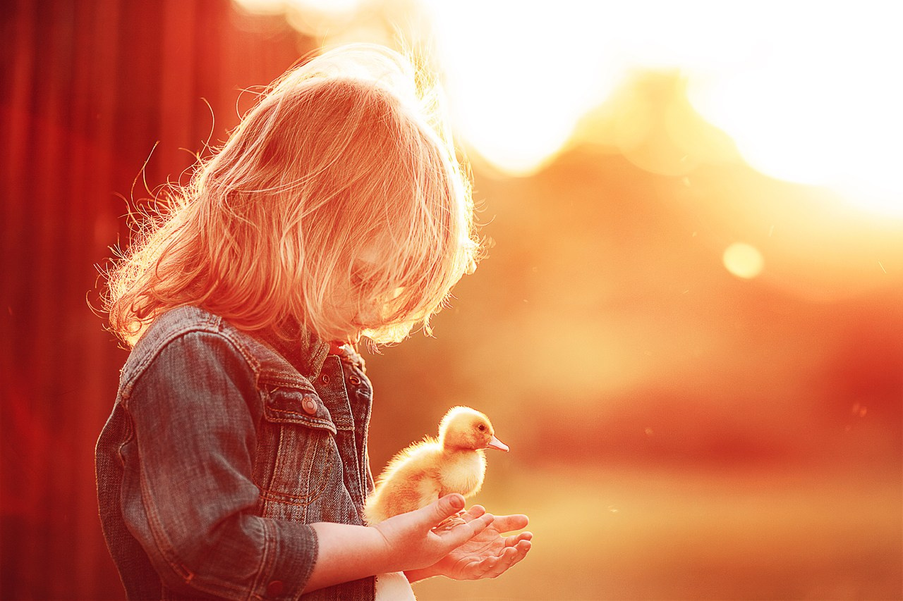 Портфолио. Карнеева Елена. Детский, семейный фотограф