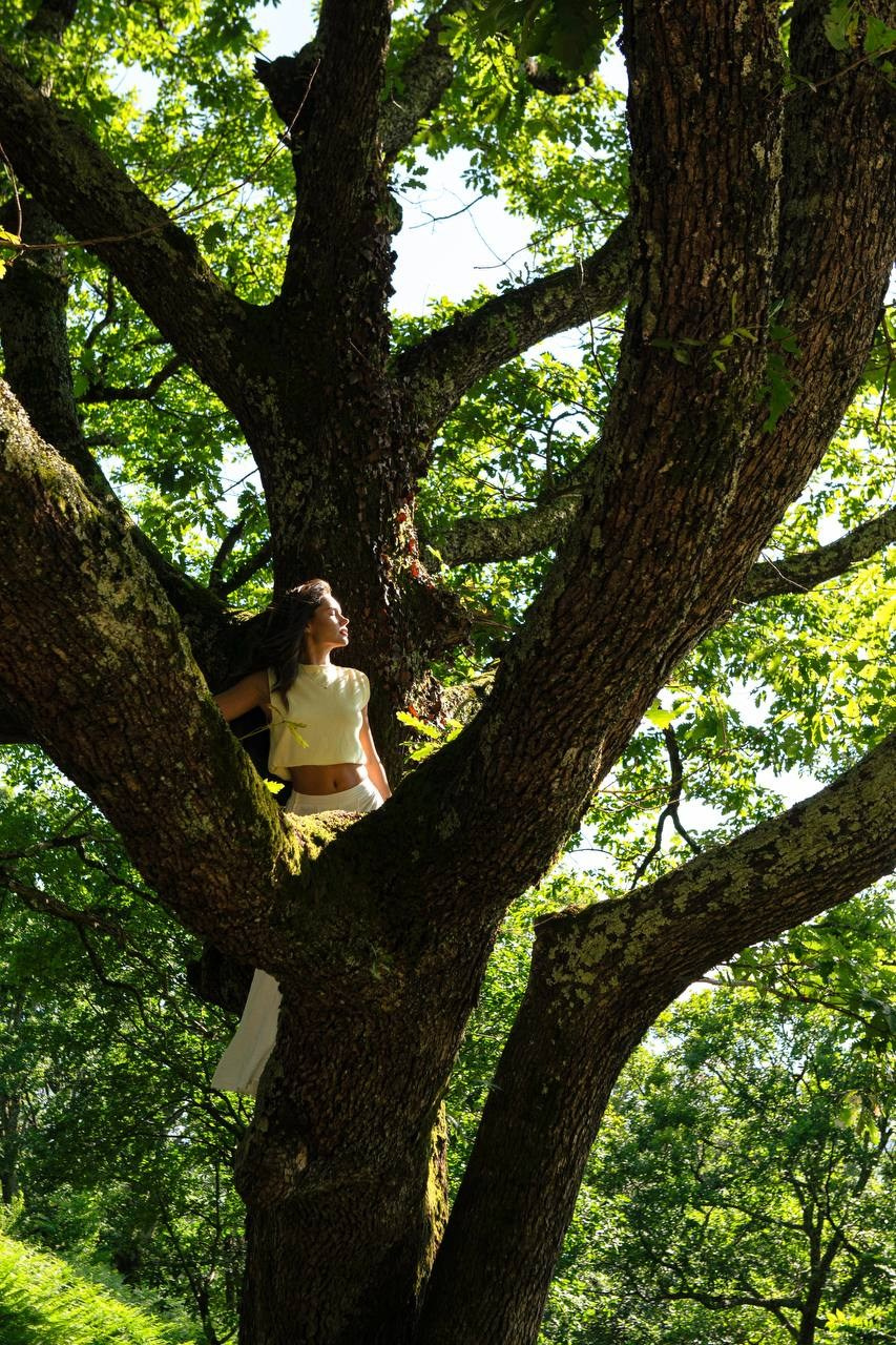 Лесная фотосессия в Сочи. Портфолио фотографа Анастасии Блохиной