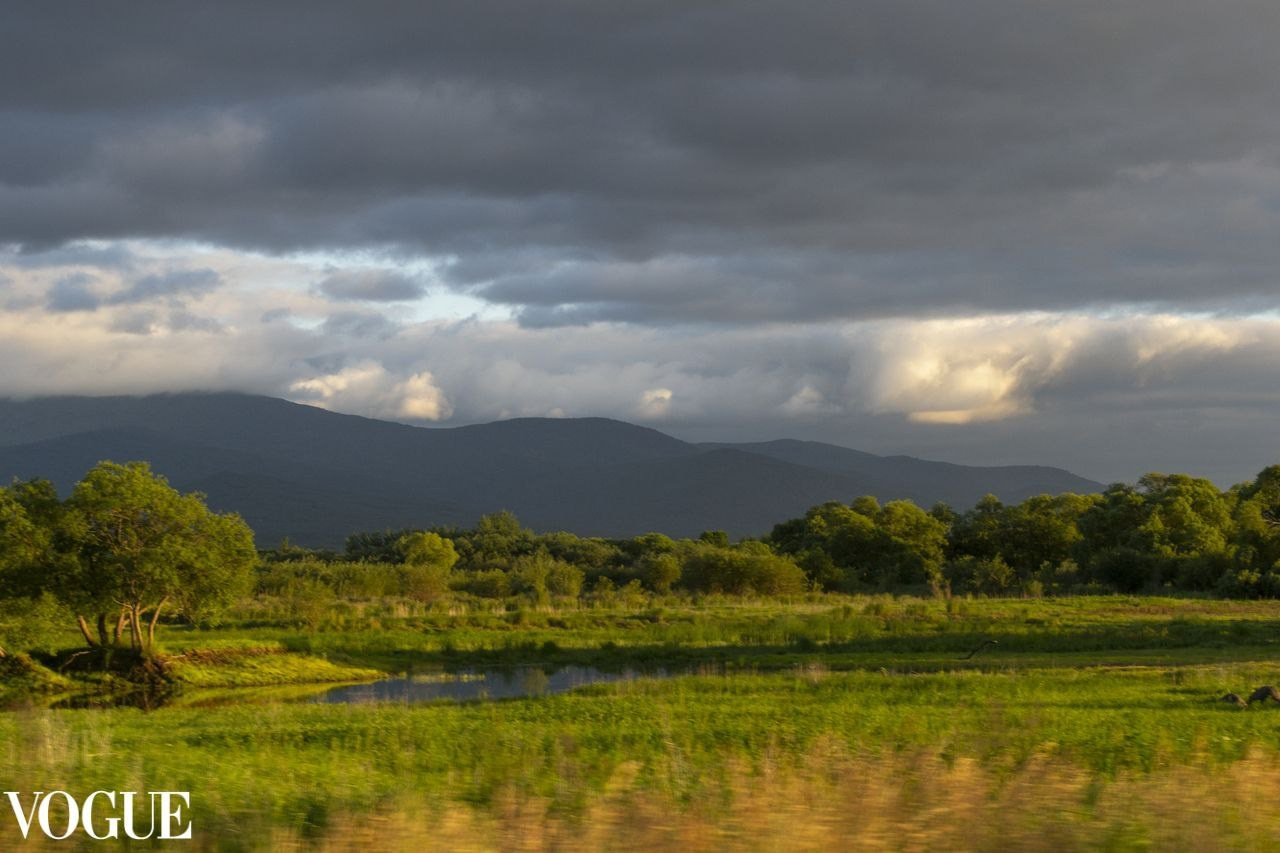 фотограф, фотосессия, пейзаж, Дальний Восток, Хабаровск, природа, портретный фотограф, съемка на улице, фотосессия на улице, красивый пейзаж, vogue, фото проект
