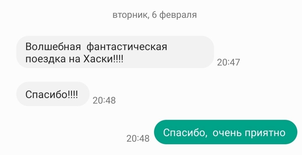 Катание на хаски в Спб