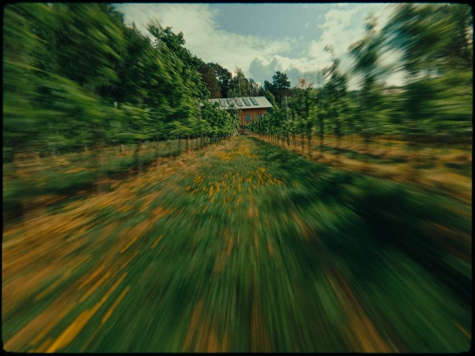 Color Theory. TENZO | Creative Producer / Art Director