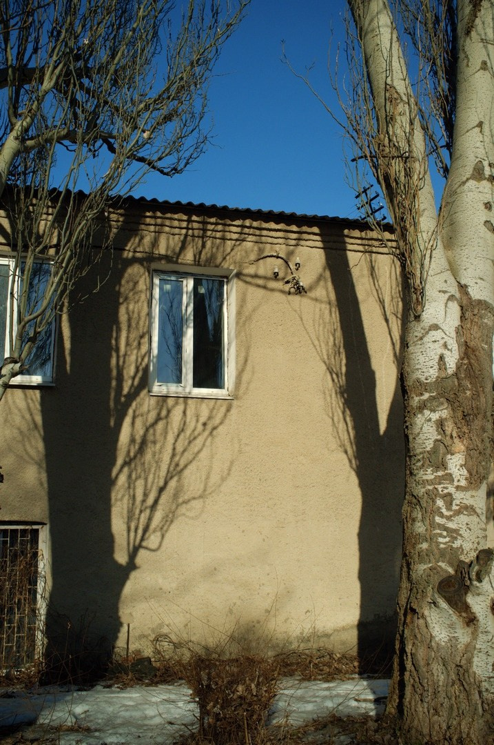 Городские светы / city flowers of light. Руслан Шувалов (поэтограф)