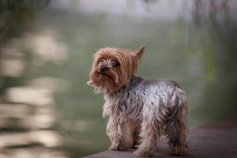 Работы учеников школы. Фотостудия Алматы. Фотосъемка Алматы. Фотосессия Алматы. Фотокурсы. Обучение фотографии. Аренда студии
