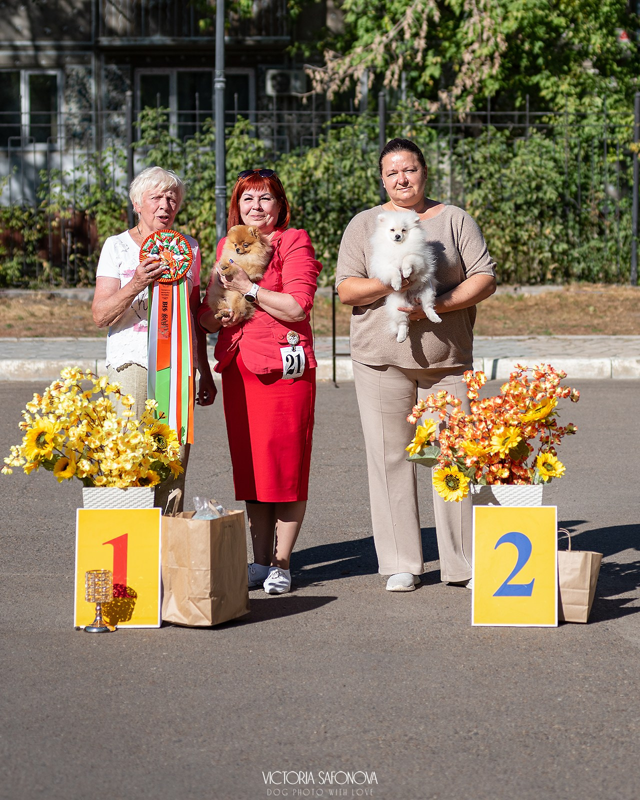 15 сентября 2024. Благовещенск. Монопородная выставка шпицев. Фотограф анималист Благовещенск. Сафонова Виктория