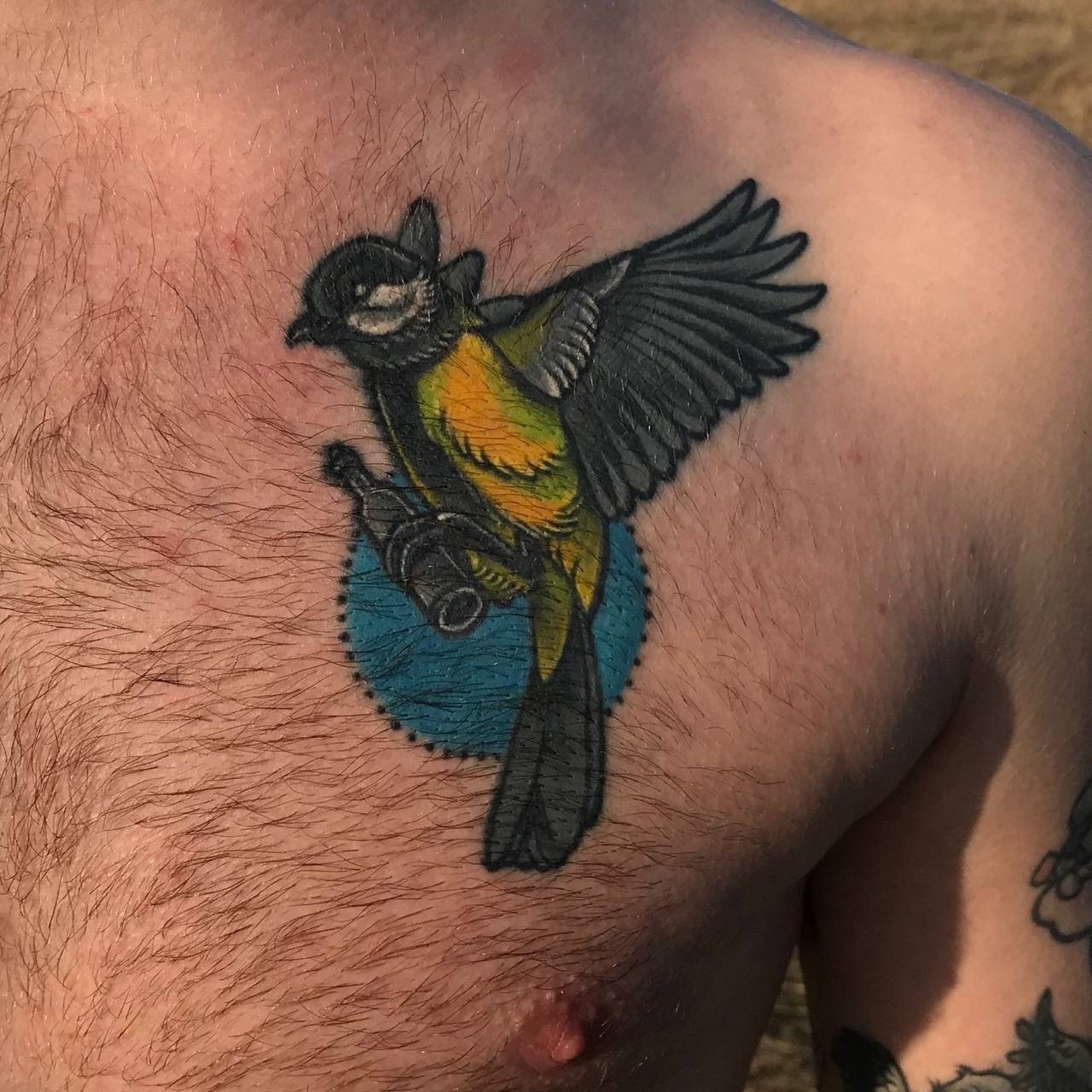 Работы Тимофея