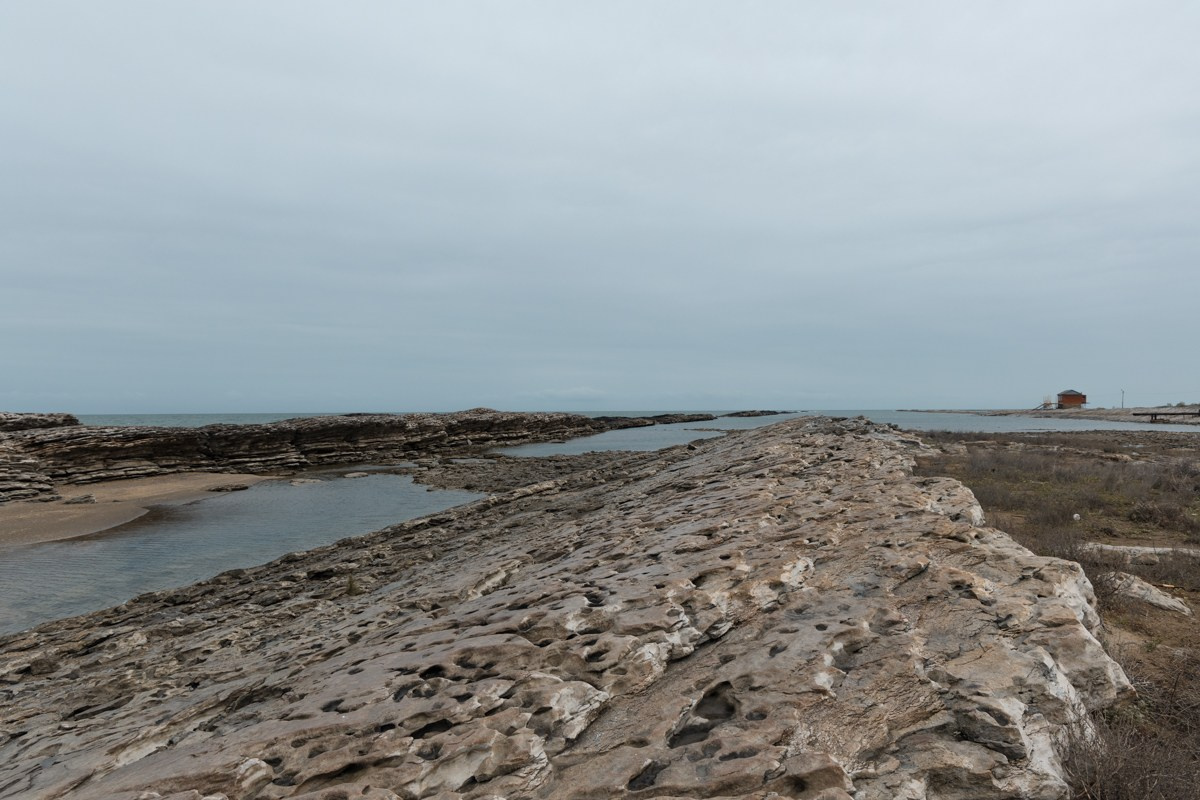 Избербаш. Photomantis