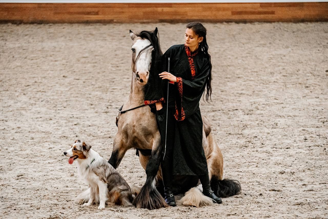 КОННАЯ РОССИЯ 2024. Конный фотограф Куракина Дарья • Фотосессии с лошадьми